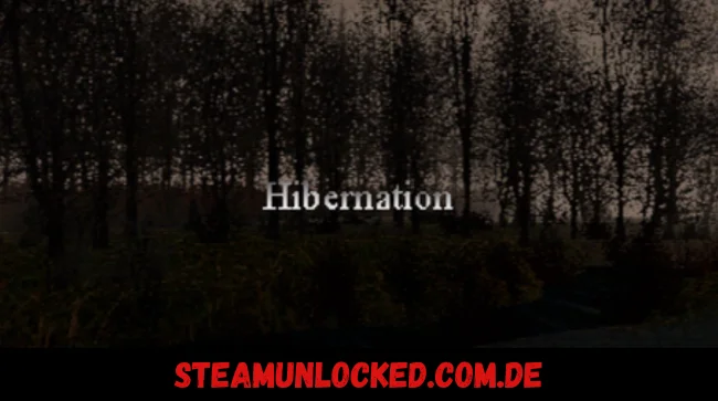 Hibernation