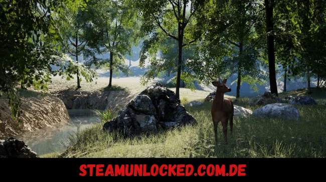 Relaxing Simulator Free Download PC