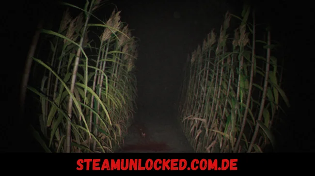 Unknown Tapes Free Download