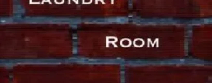 Laundry Room Dilemma Free Download