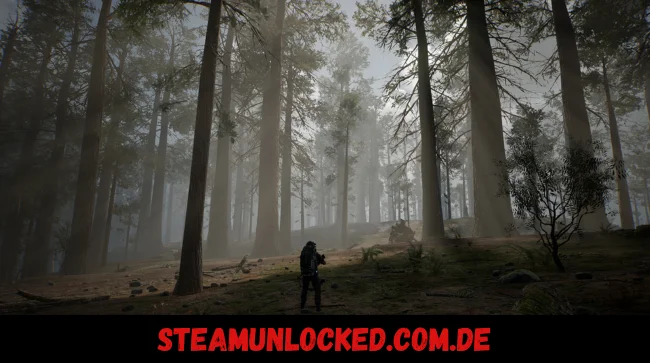 LIFE EFFECT Free Download PC