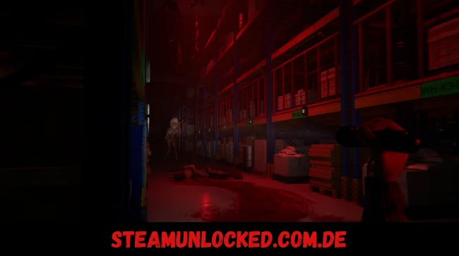 ORDER 13 Free Download PC