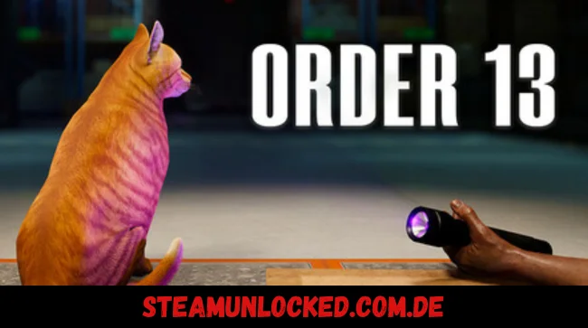 ORDER 13