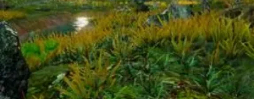 Asunder_II Free Download