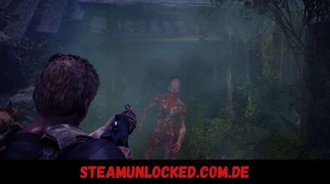 DecayZ Origin Free Download